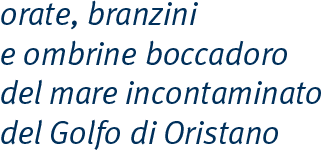 orate-e-branzini